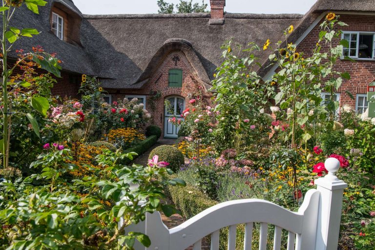 Das am meisten fotografierte Objekt im Dorf, schräg gegenüber Ihrer Ferienwohnung