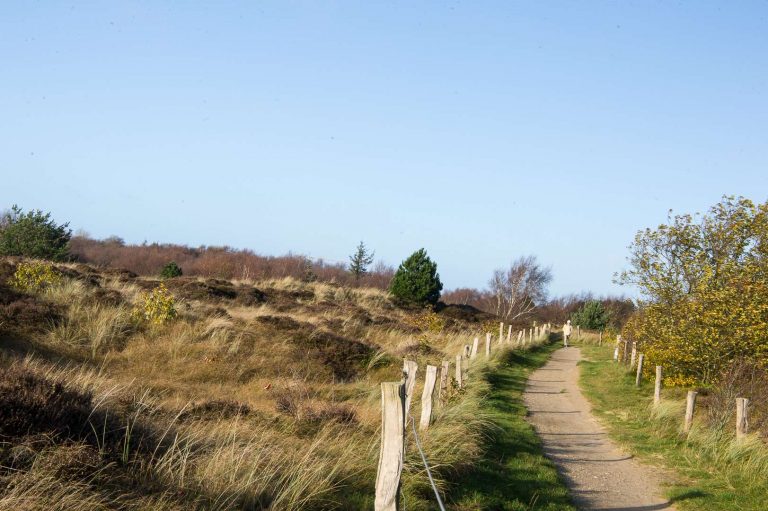 Dünengürtel am großen Deich, 350 m von Ihrer Ferienwohnung