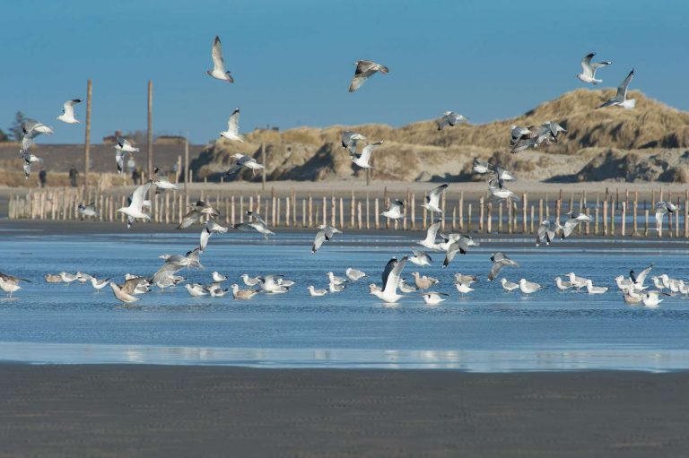 Und weil der Strand so riesig ist, auch mit viel Naturerlebnissen