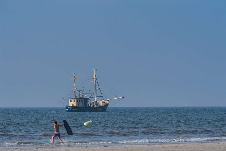 Dem Krabbenkutter die Beute abjagen